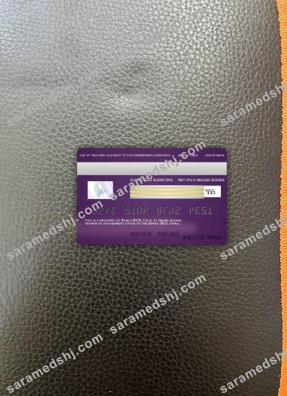 Chile BICE bank visa card photolook back